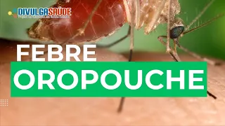 Febre Oropouche: O Vírus que Está Preocupando o Brasil